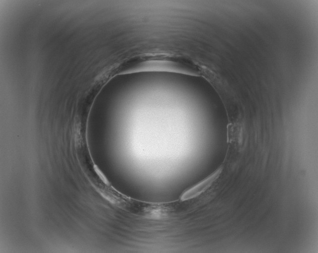 X0000081600564200701151342