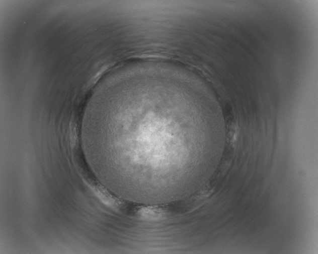 X0000081600568200701151342