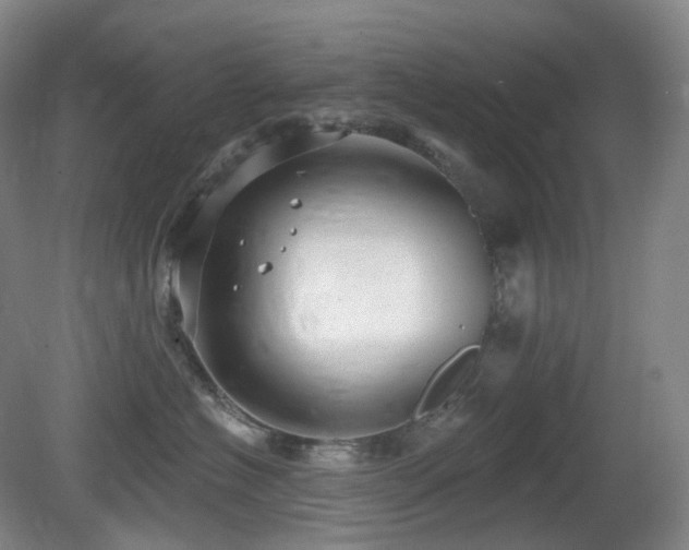 X0000081600574200701151342