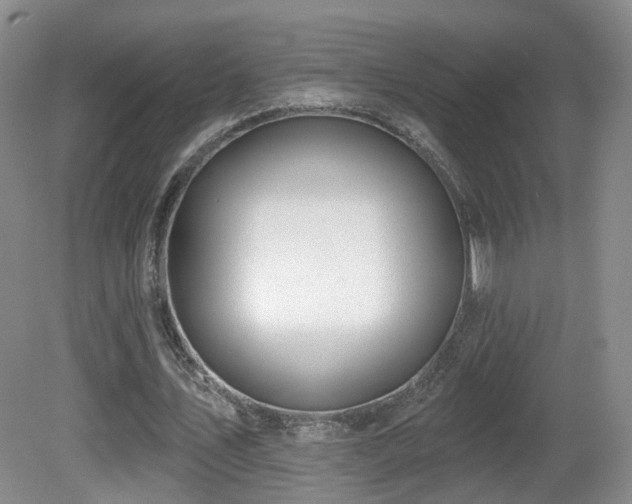 X0000081600579200701151341