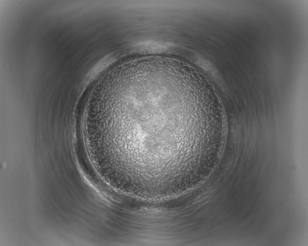X0000081600582200701151341
