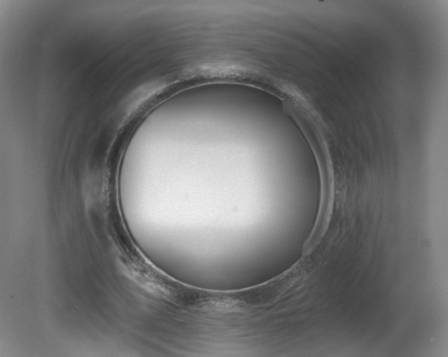 X0000081600583200701151341