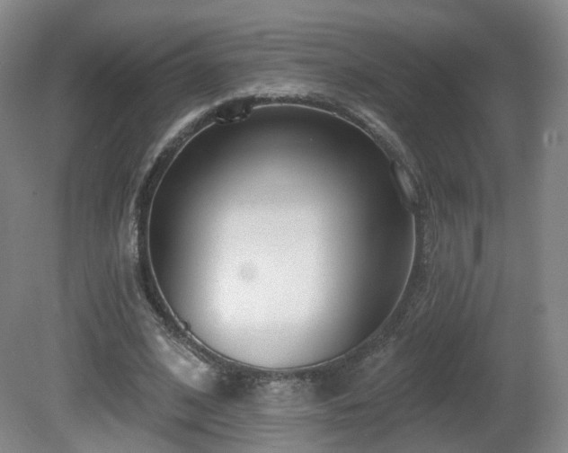 X0000081600584200701151341