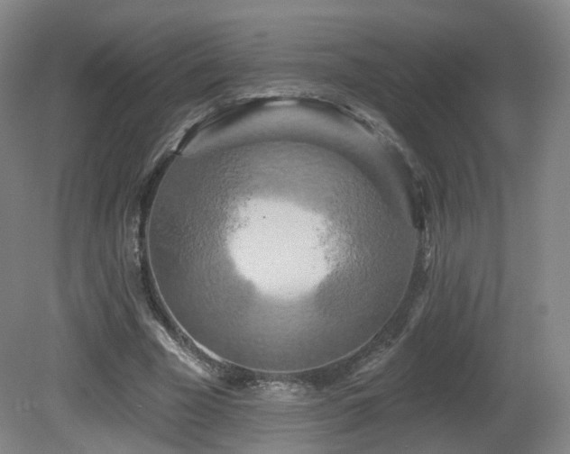 X0000081600585200701151341