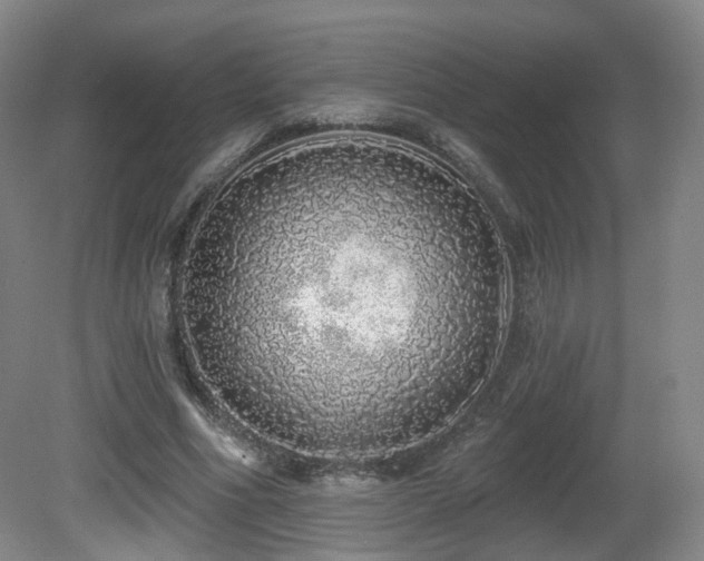 X0000081600586200701151341