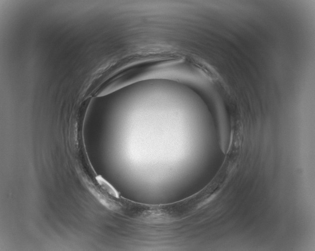 X0000081600589200701151341
