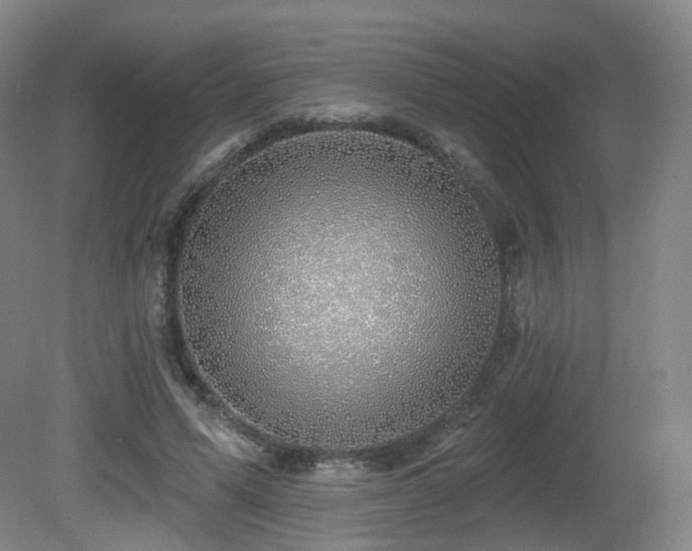 X0000081600591200701151341