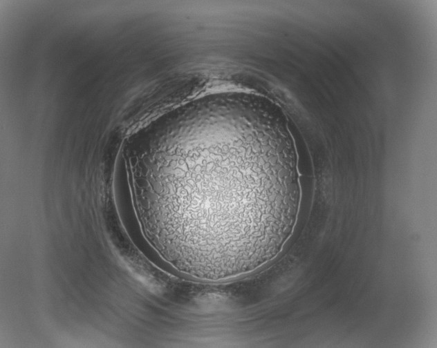 X0000081600594200701151341