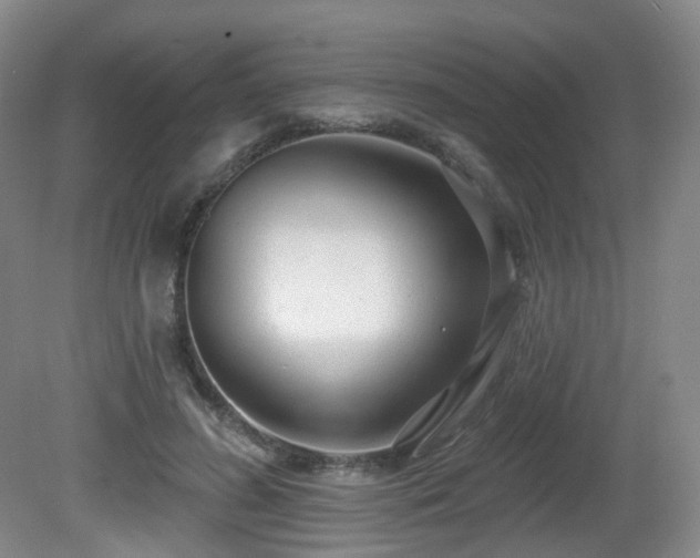 X0000081600596200701151341