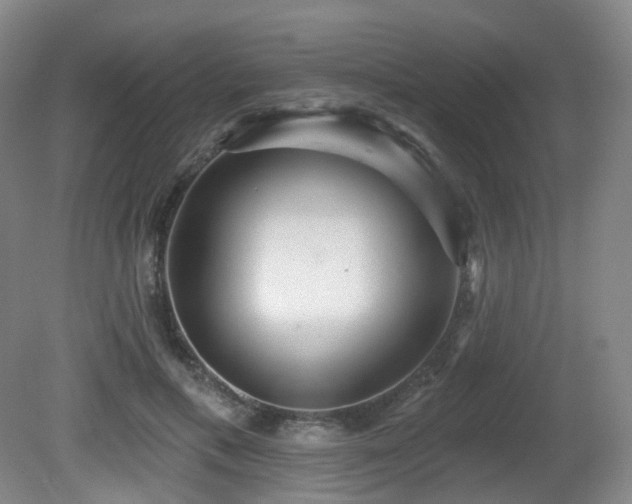 X0000081600597200701151341