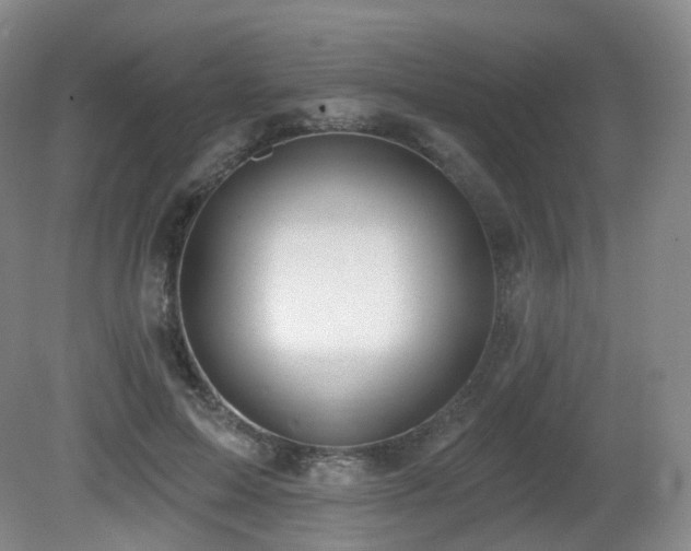X0000081600599200701151341