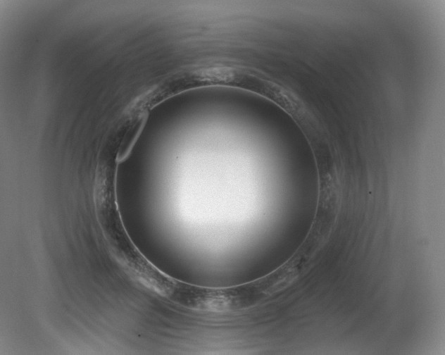 X0000081600600200701151341