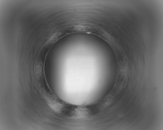 X0000081600603200701151341