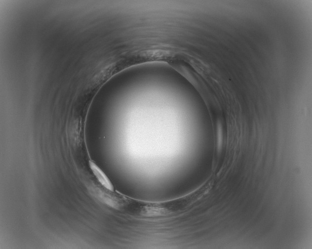 X0000081600605200701151341