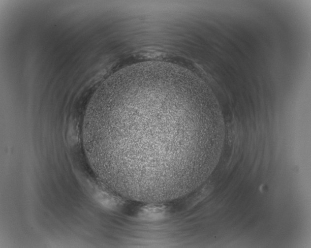 X0000081600606200701151341
