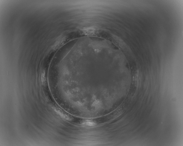 X0000081600610200701151341