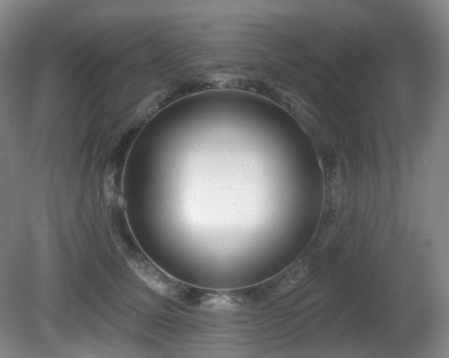 X0000081600611200701151341