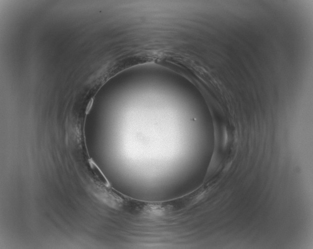 X0000081600613200701151341