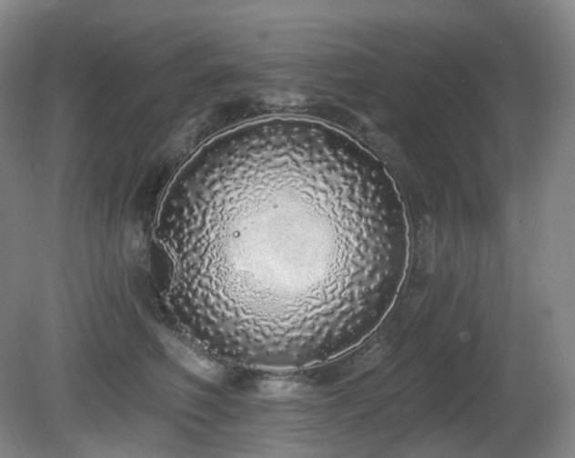 X0000081600614200701151341