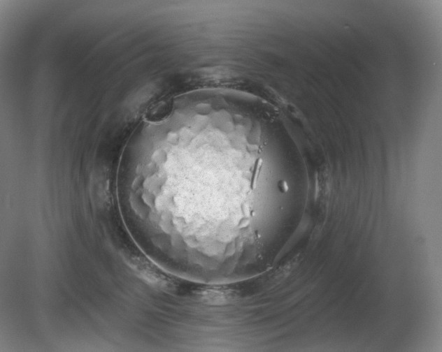 X0000081600615200701151341