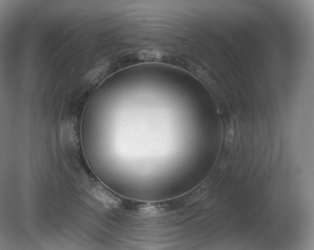 X0000081600616200701151341