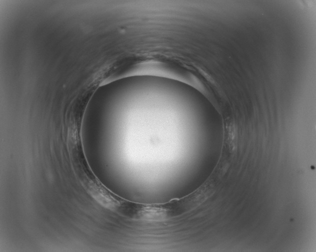 X0000081600617200701151341