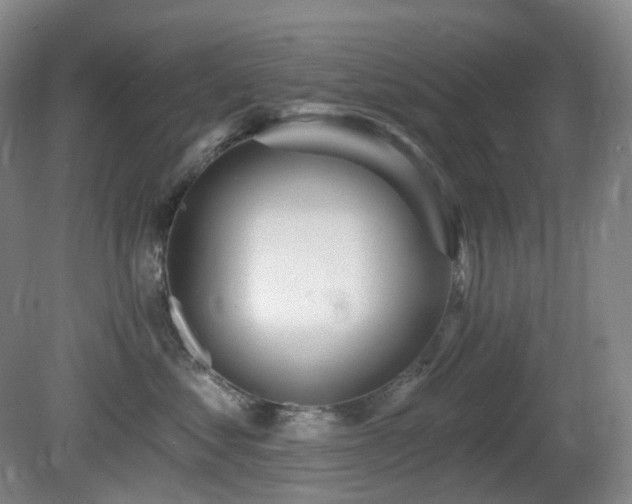 X0000081600621200701151341