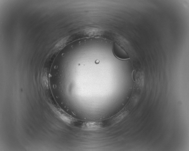 X0000081600622200701151341