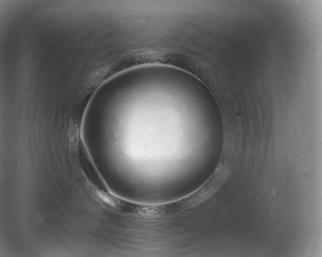 X0000081600624200701151341