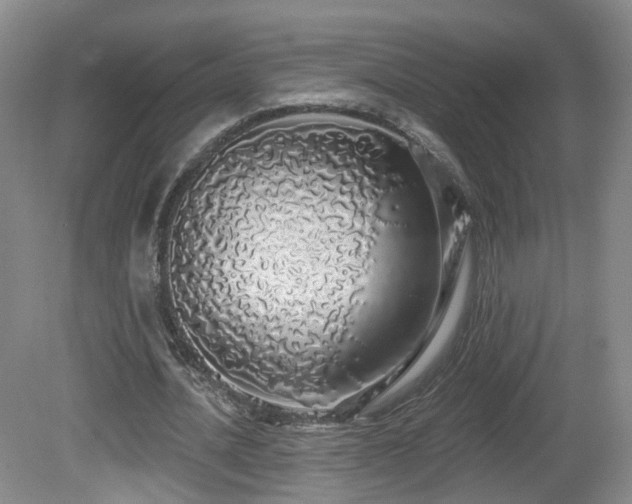 X0000081600628200701151340