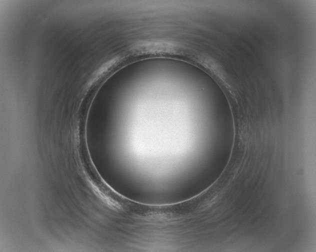 X0000081600629200701151340