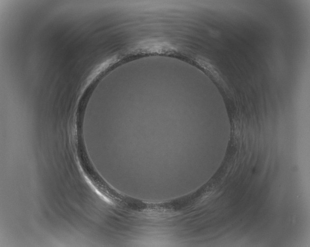 X0000081600630200701151340