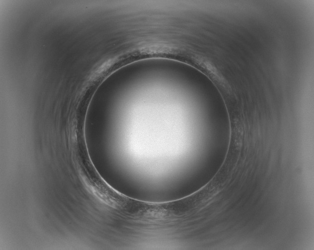 X0000081600631200701151340