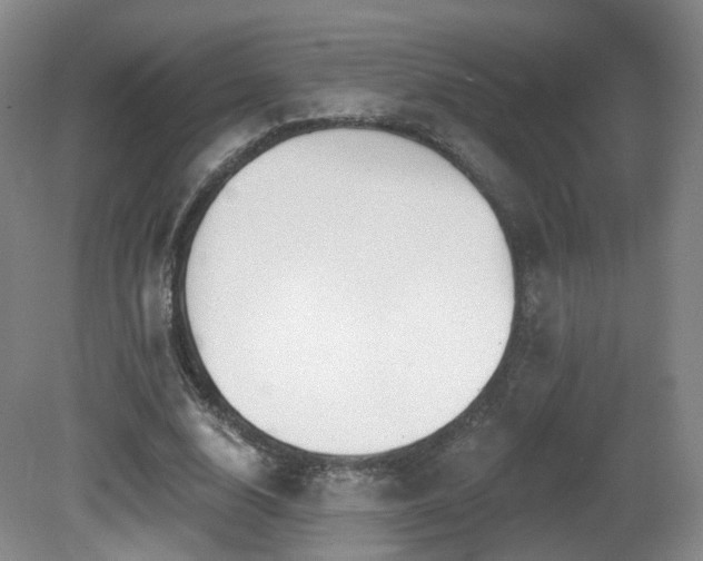 X0000081600632200701151340
