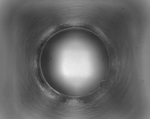 X0000081600635200701151340