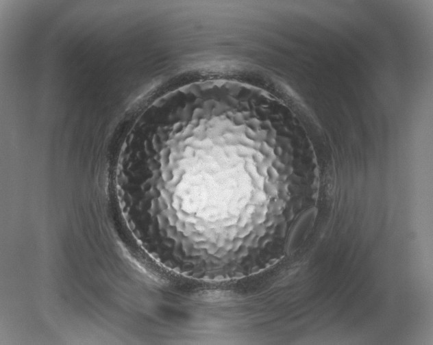 X0000081600637200701151340