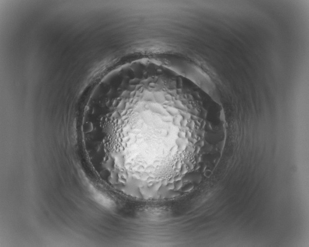 X0000081600638200701151340