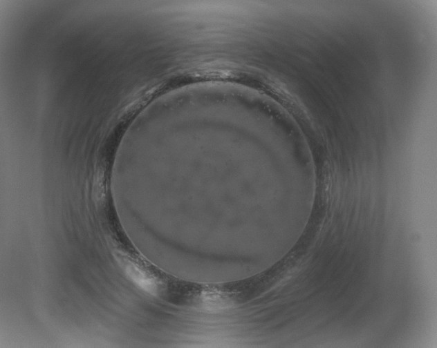 X0000081600641200701151340