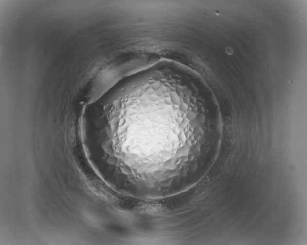 X0000081600642200701151340