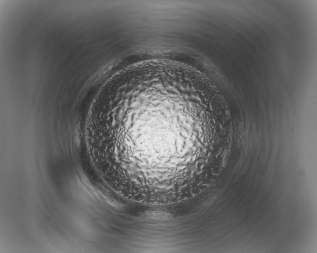 X0000081600644200701151340