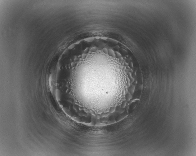 X0000081600646200701151340
