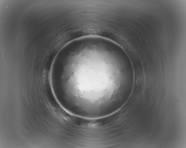 X0000081600647200701151340