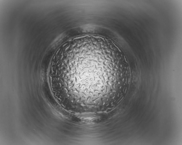 X0000081600648200701151340