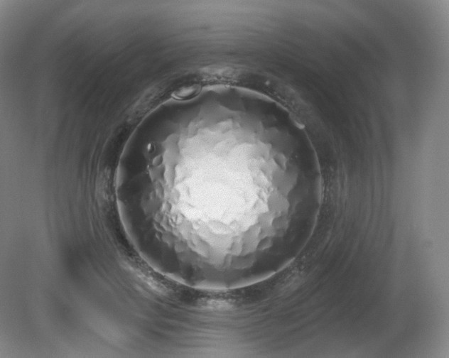 X0000081600649200701151340