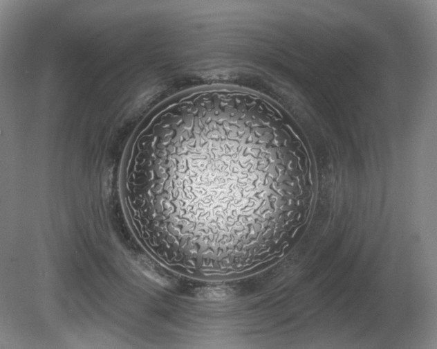 X0000081600652200701151340