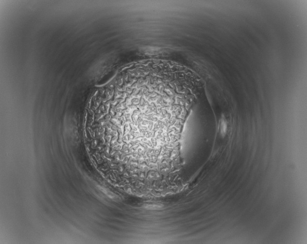 X0000081600653200701151340