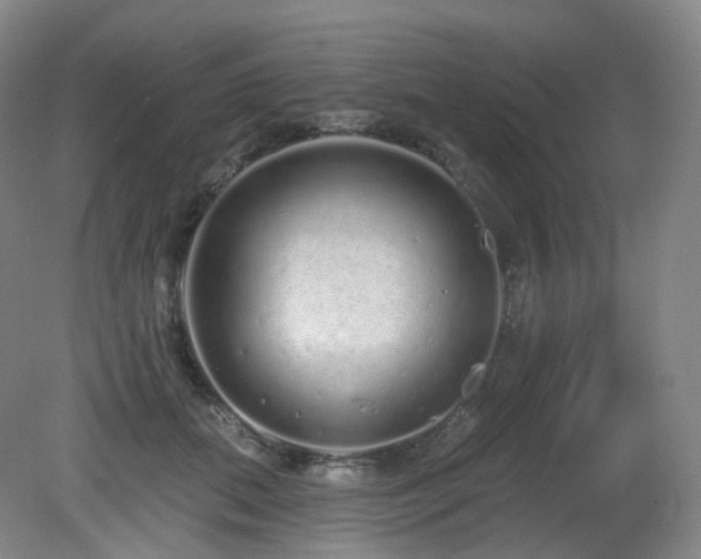 X0000081600655200701151340