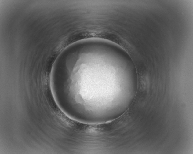 X0000081600657200701151340