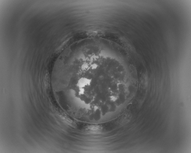X0000081600659200701151340