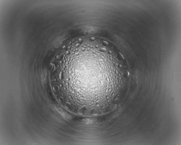 X0000081600660200701151340